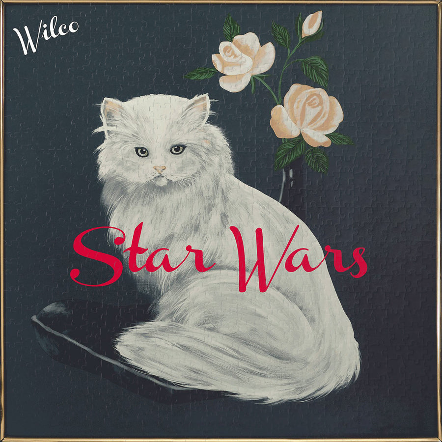 Wilco - "Star Wars"